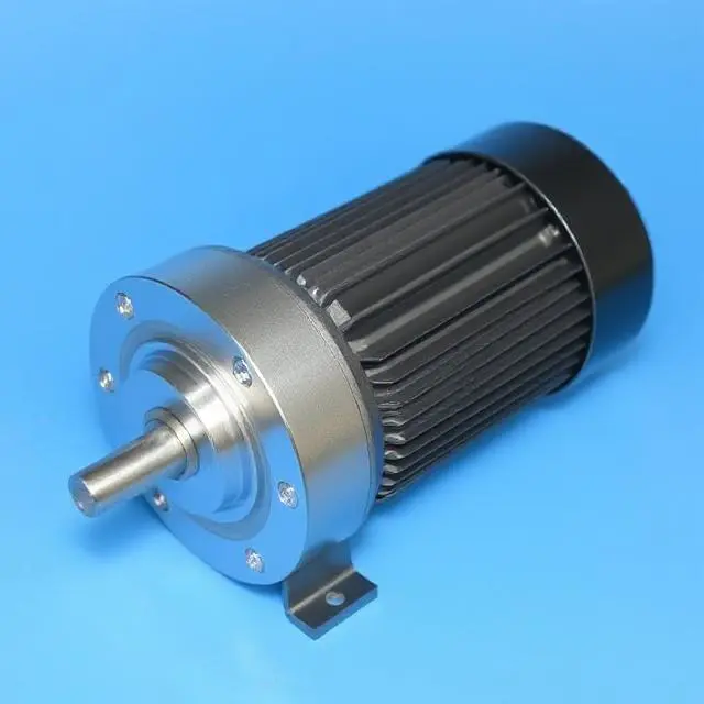 Electric Torque Motor
